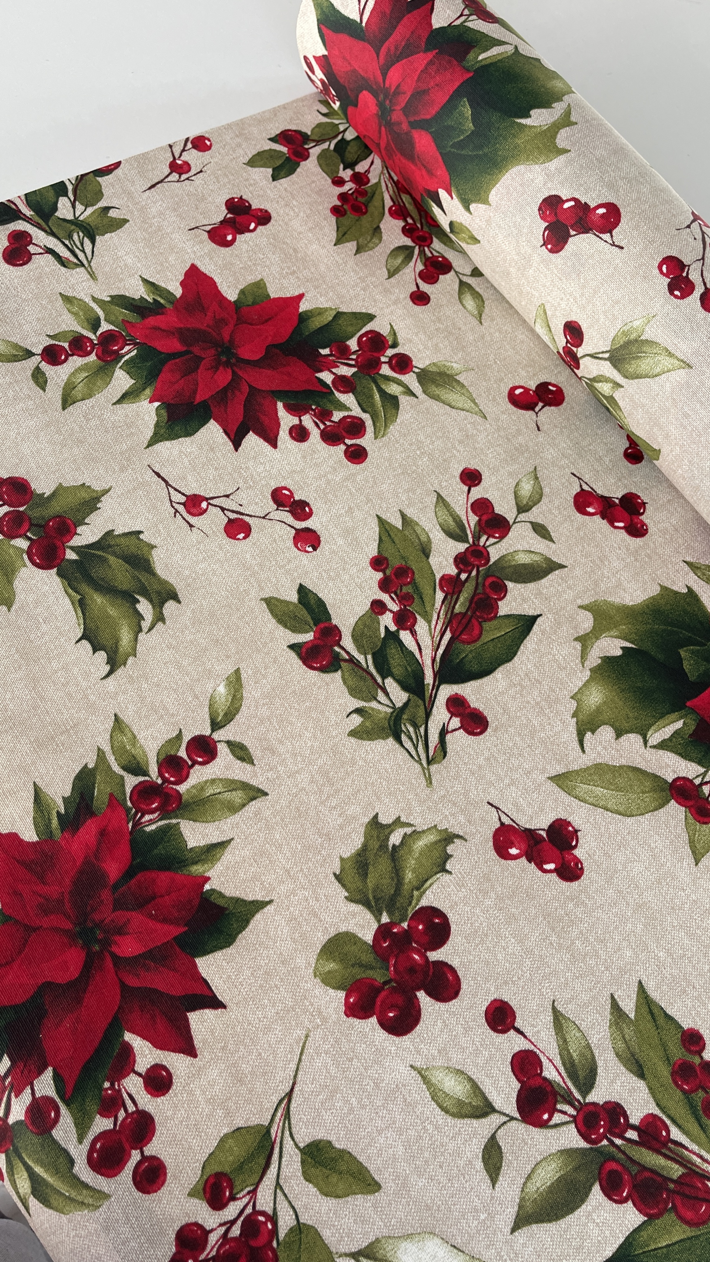 Navidad - Flor Pascua Roja Fondo Beige